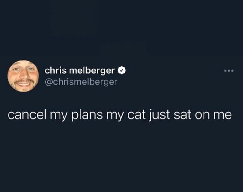 introvert memes, anxiety memes