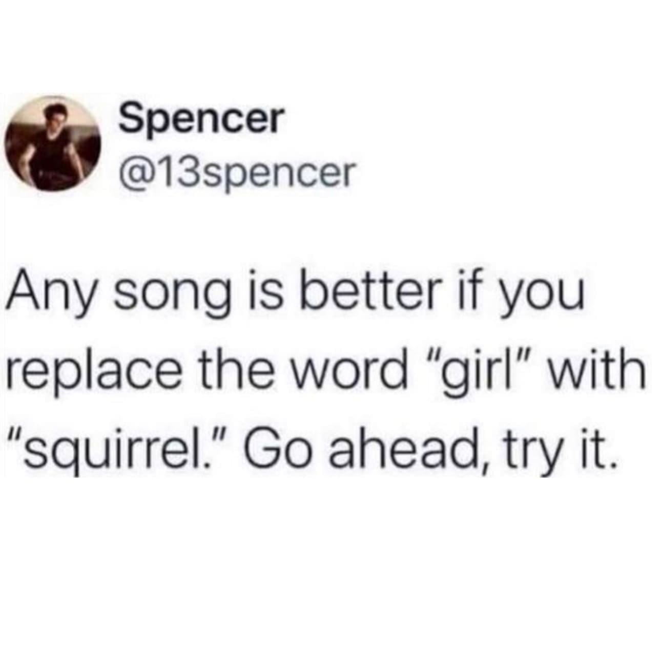 funny memes @13spencer Any song is better if you replace the word "girl" with "squirrel." Go ahead, try it.