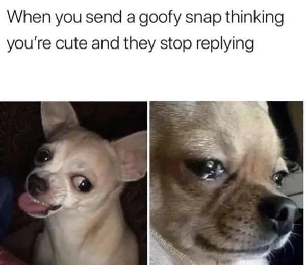 funny memes When you send a goofy snap thinking you're cute and they stop replying