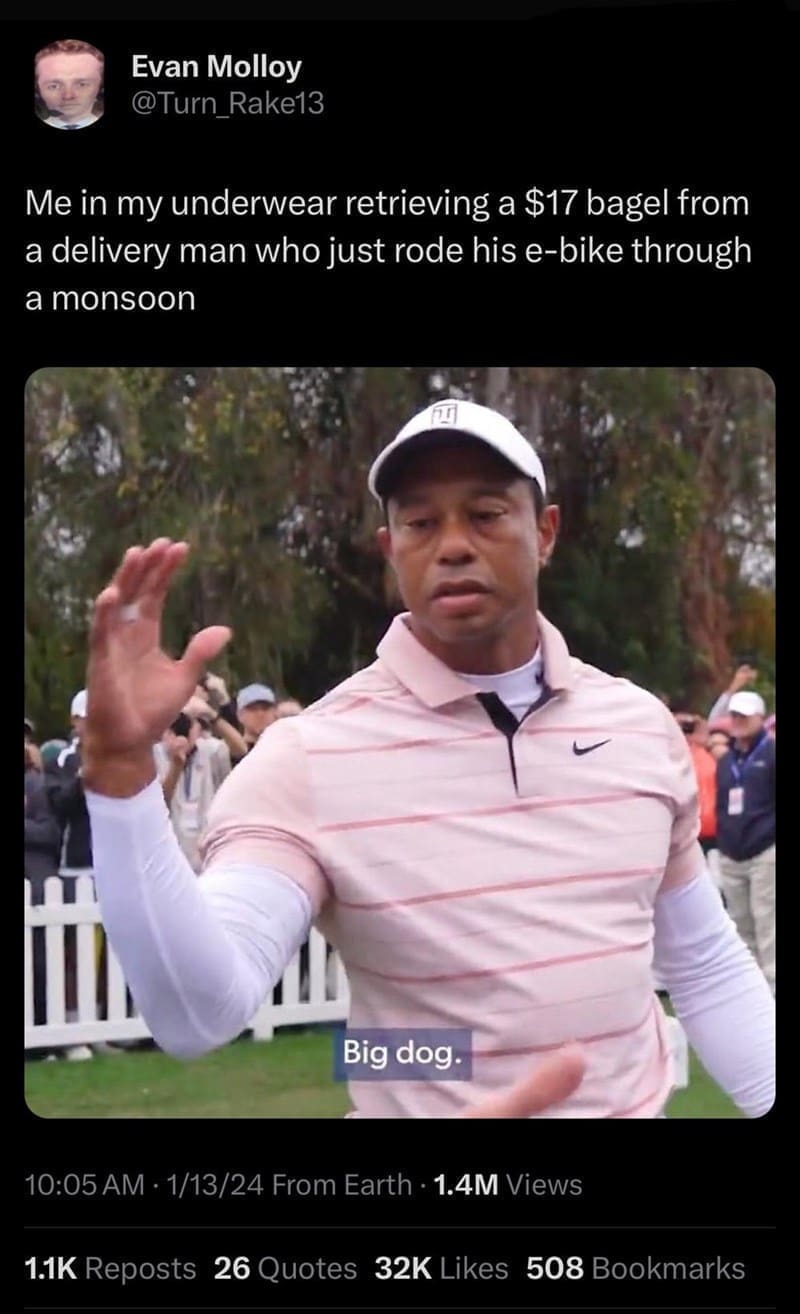 funny memes Me in my underwear retrieving a $17 bagel from a delivery man who just rode his e-bike through a monsoon. big dog.