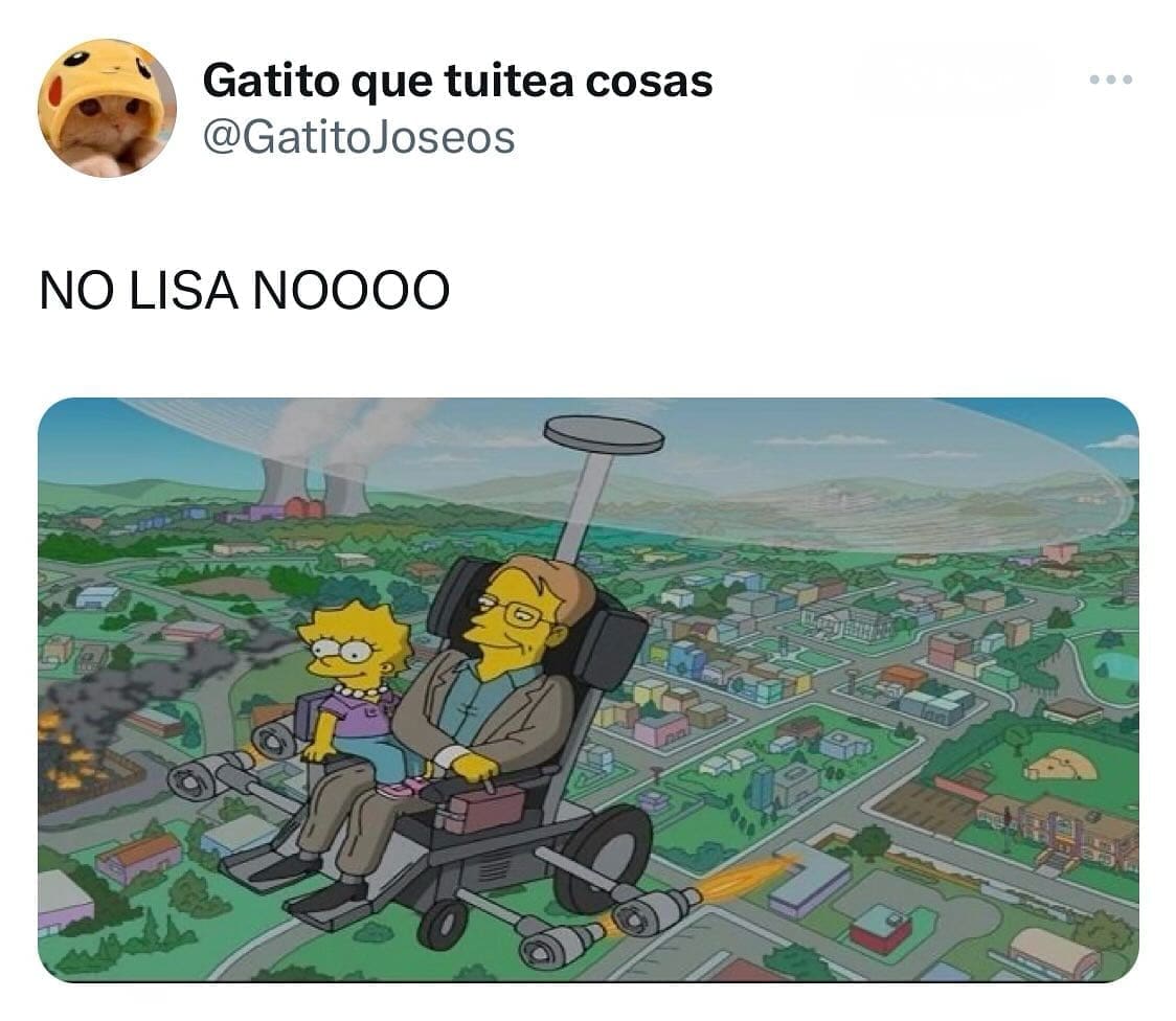funny memes NO LISA NOOOO
