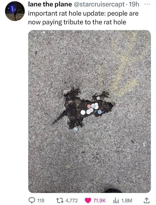 funny memes important rat hole update: people are now paying tribute to the rat hole