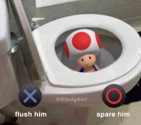 funny memes