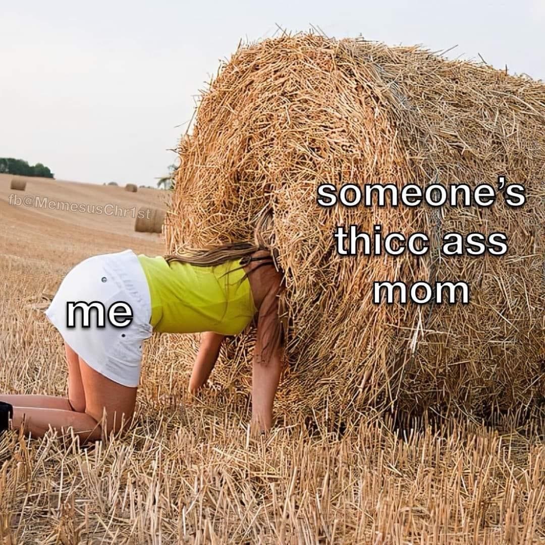 funny memes me someone's thicc ass mom