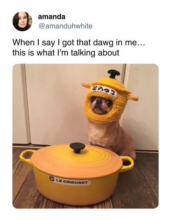 funny memes When I say I got that dawg in me... this is what l'm talking about