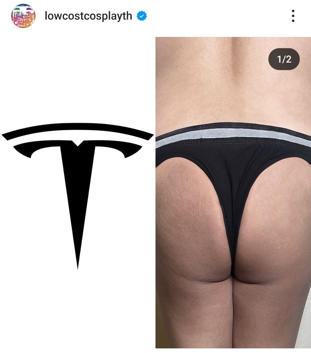 Funny memes lowcostcosplay Tesla logo underwear