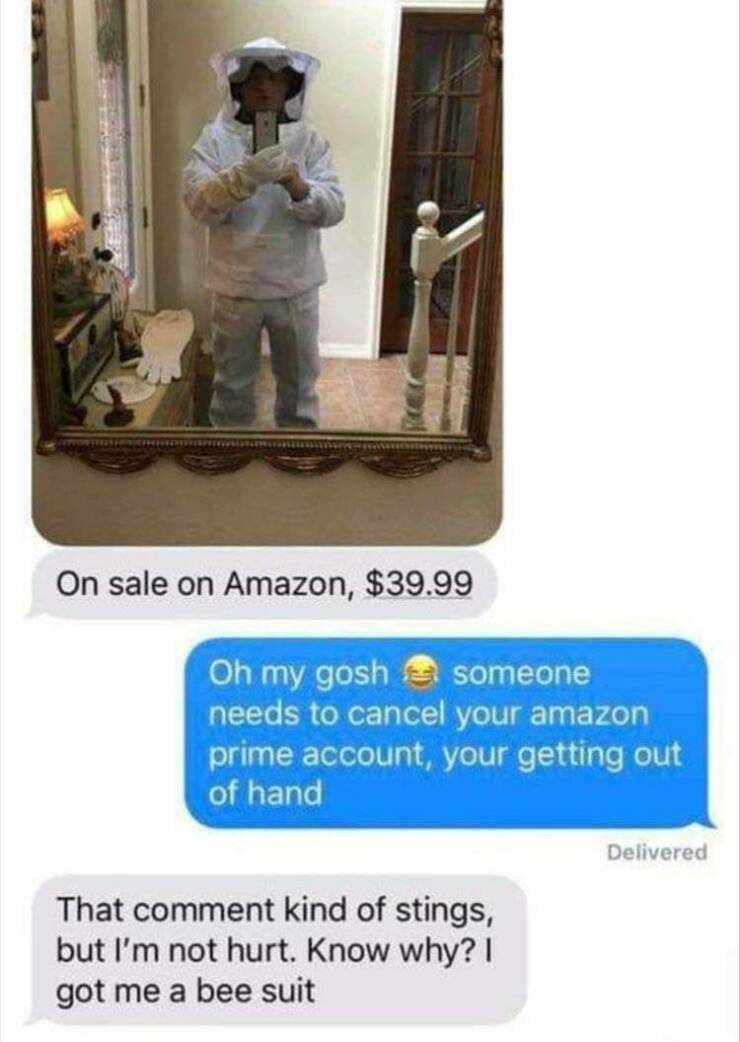 funny memes Oh my gosh someone needs to cancel your amazon prime account, your getting out of hand Delivered That comment kind of stings, but I'm not hurt. Know why? I got me a bee suit