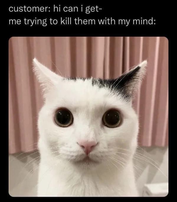 funny memes customer: hi can i get- me trying to kill them with my