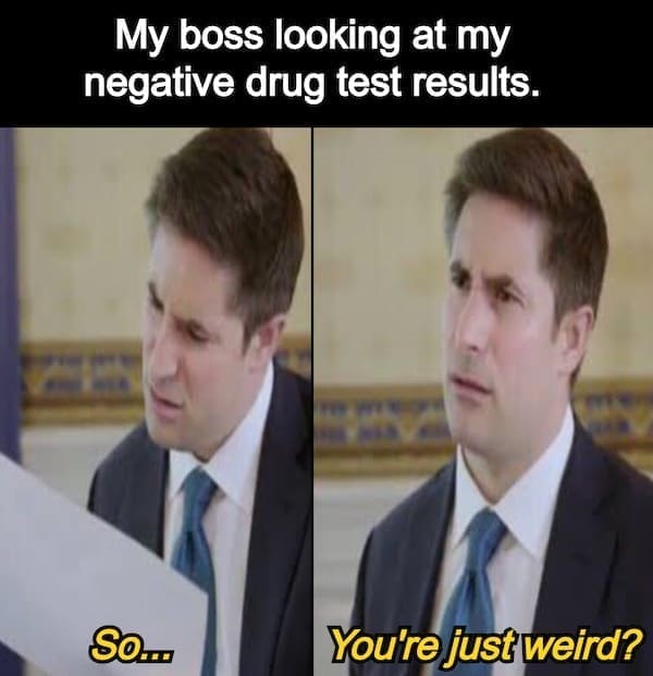 funny memes My boss looking at my negative drug test results. SO... You're just weird?