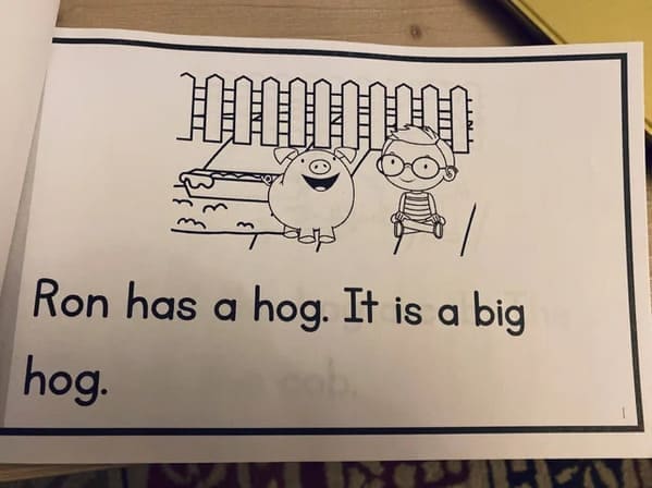 funny memes Ron has a hog. It is a big hog.