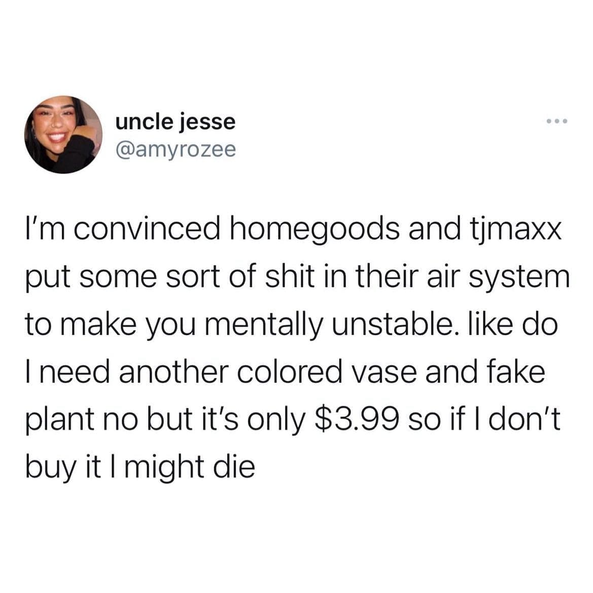 funny memes I'm convinced homegoods and tjmaxx put some sort of in their air system to make you mentally unstable. like do I need another colored vase and fake plant no but it's only $3.99 so if I don't buy it I might die