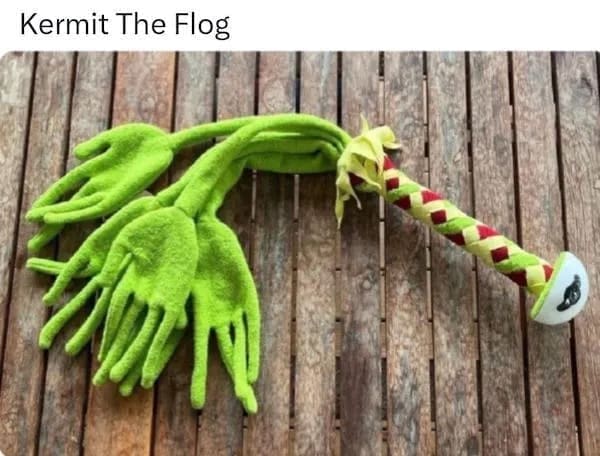 funny memes Kermit The Flog