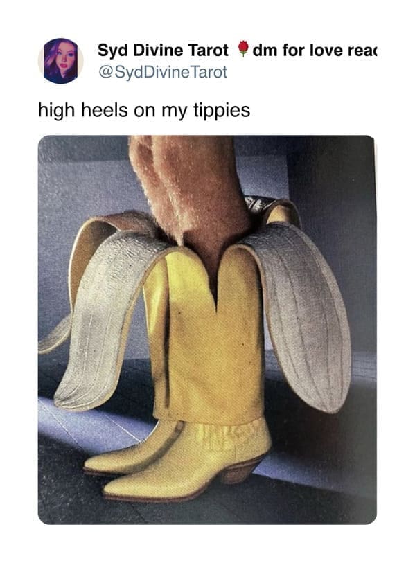funny memes high heels on my tippies