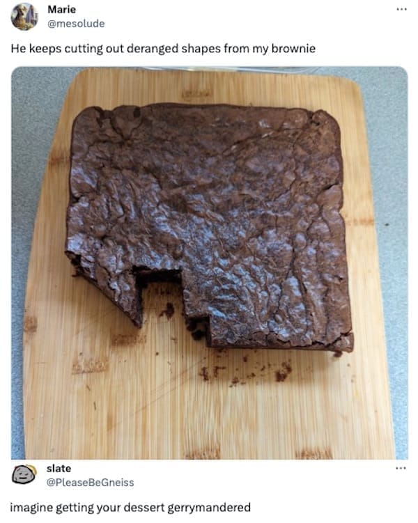 funny memes He keeps cutting out deranged shapes from my brownie imagine getting your dessert gerrymandered