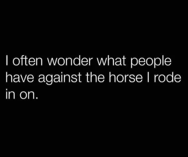 funny memes I often wonder what people have against the horse I rode in on.