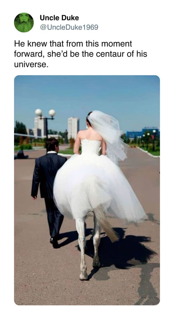 funny memes He knew that from this moment forward, she'd be the centaur of his universe.