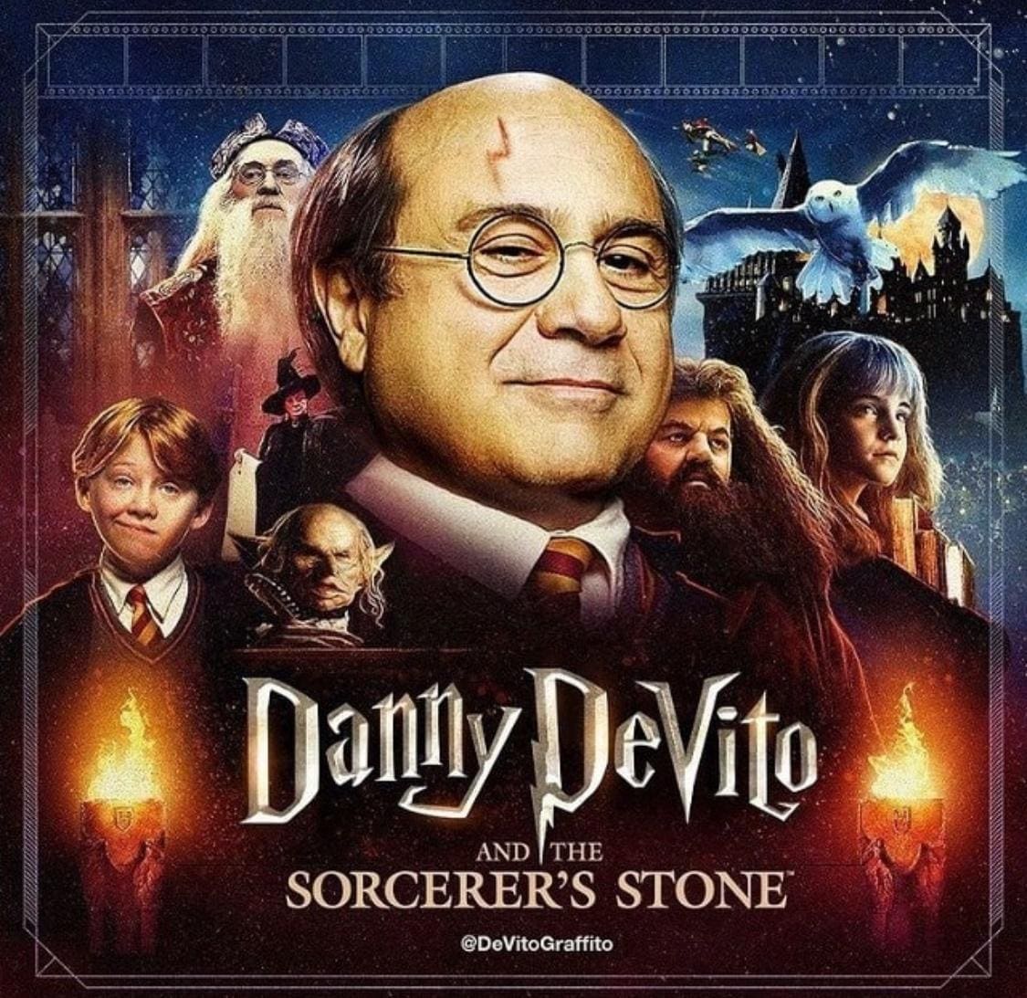 funny memes Danly DeVito AND THE SORCERER'S STONE