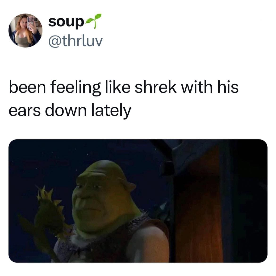 been feeling like shrek with his ears down lately