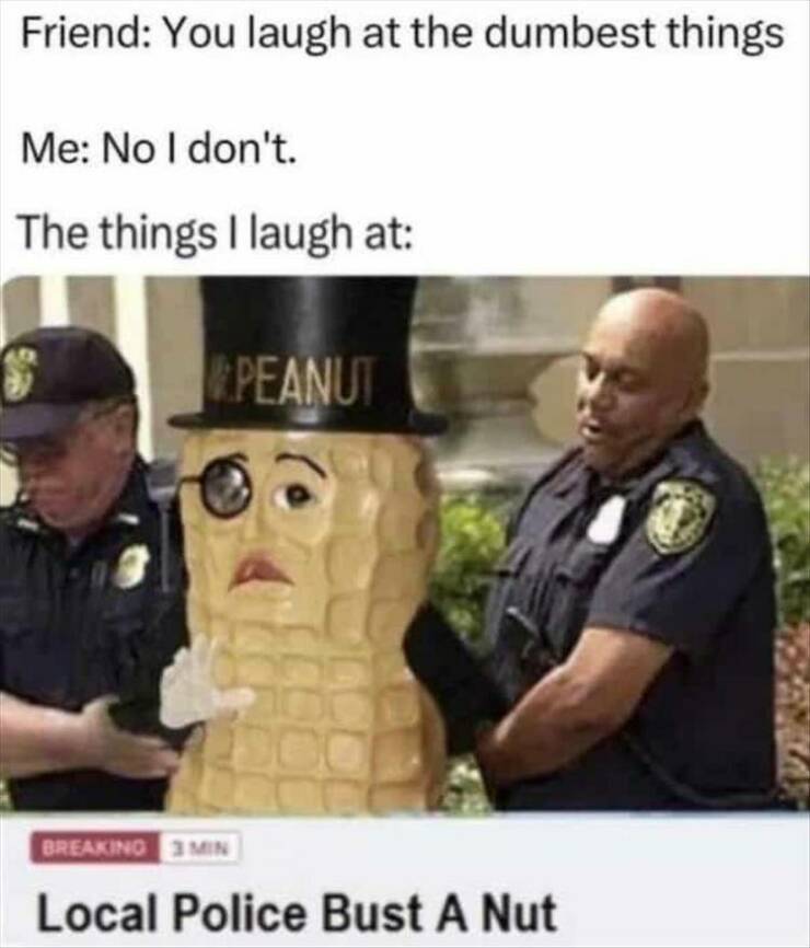 funny pics Friend: You laugh at the dumbest things Me: No I don't. The things I laugh at: PEANUT BREAKINC 3 м! Local Police Bust A Nut