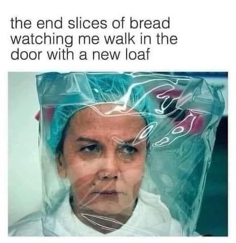 funny memes the end slices of bread watching me walk in the door with a new loaf