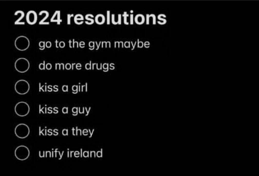 funny memes 2024 resolutions go to the gym maybe do more drugs • kiss a girl kiss a guy kiss a they unify ireland