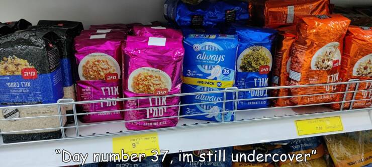 funny memes Day number 37 im still undercover" Tampa