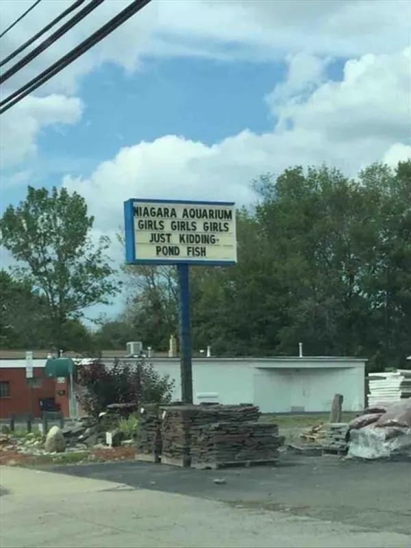 funny memes NIAGARA AQUARIUM GIRLS GIRLS GIRLS JUST KIDDING-POND FISH