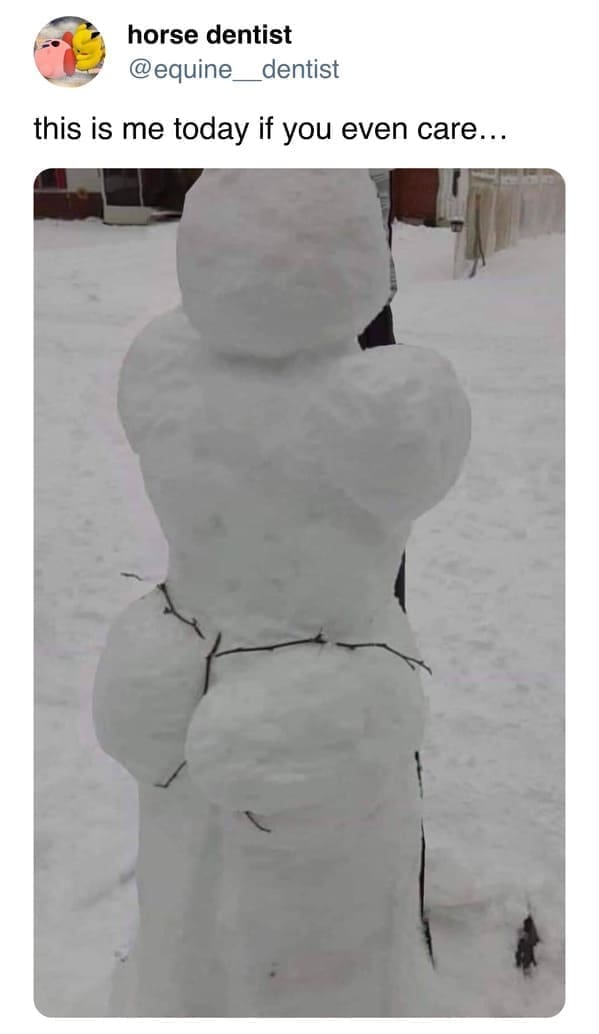 funny memes this is me today if you even care... snowman thong