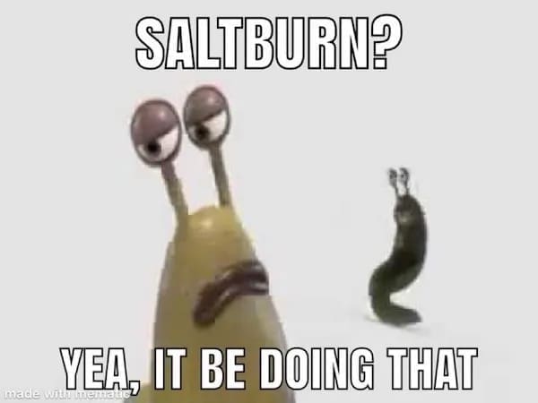 funny memes SALTBURN? nade YEA, IT BE DOING THAT