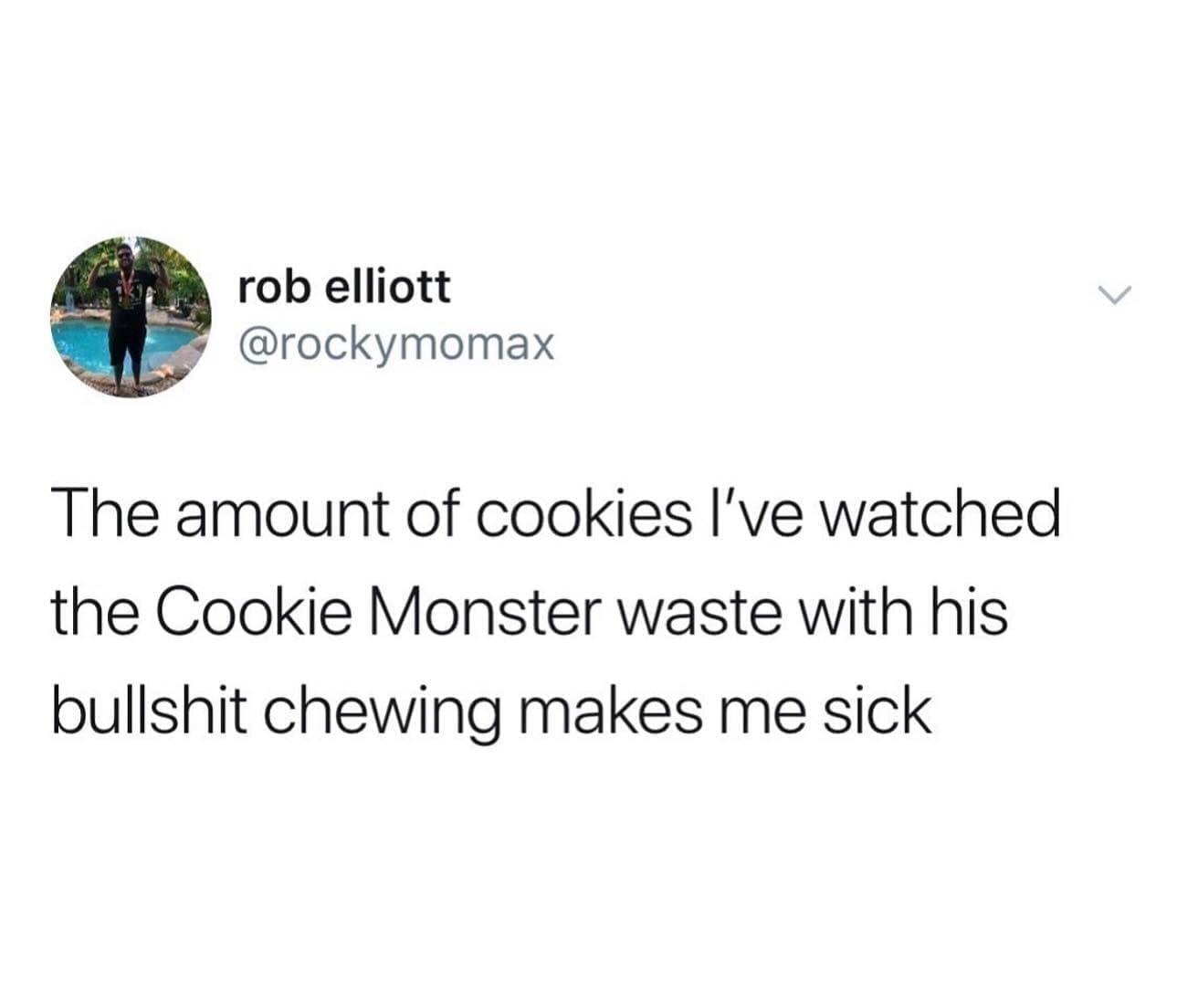 funny memes The amount of cookies I've watched the Cookie Monster waste with his bullshit chewing makes me sick