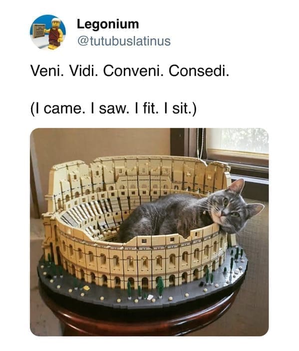 funny memes @tutubuslatinus Veni. Vidi. Conveni. Consedi. (I came. I saw. I fit. I sit.)