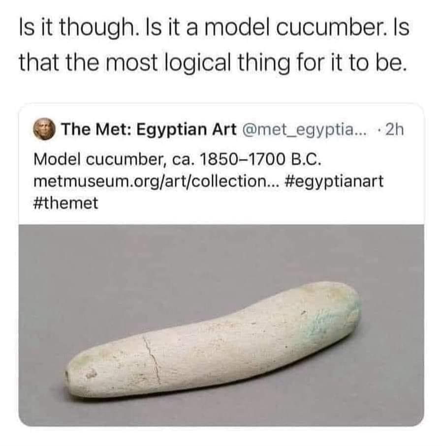funny memes Is it though. Is it a model cucumber. Is that the most logical thing for it to be. Model cucumber, ca.
