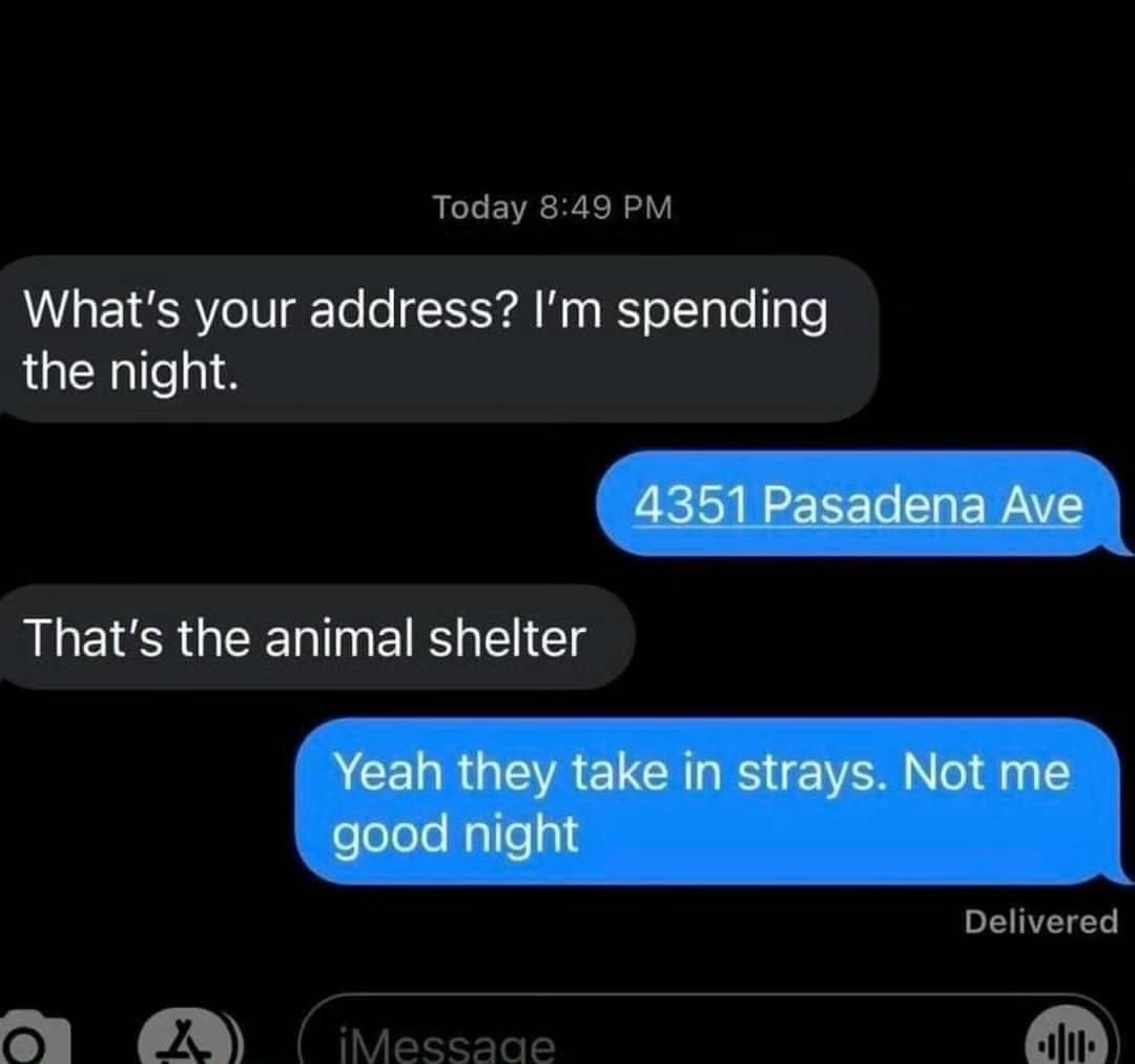 funny pics What's your address? I'm spending the night. 4351 Pasadena Ave That's the animal shelter Yeah they take in strays. Not me good night