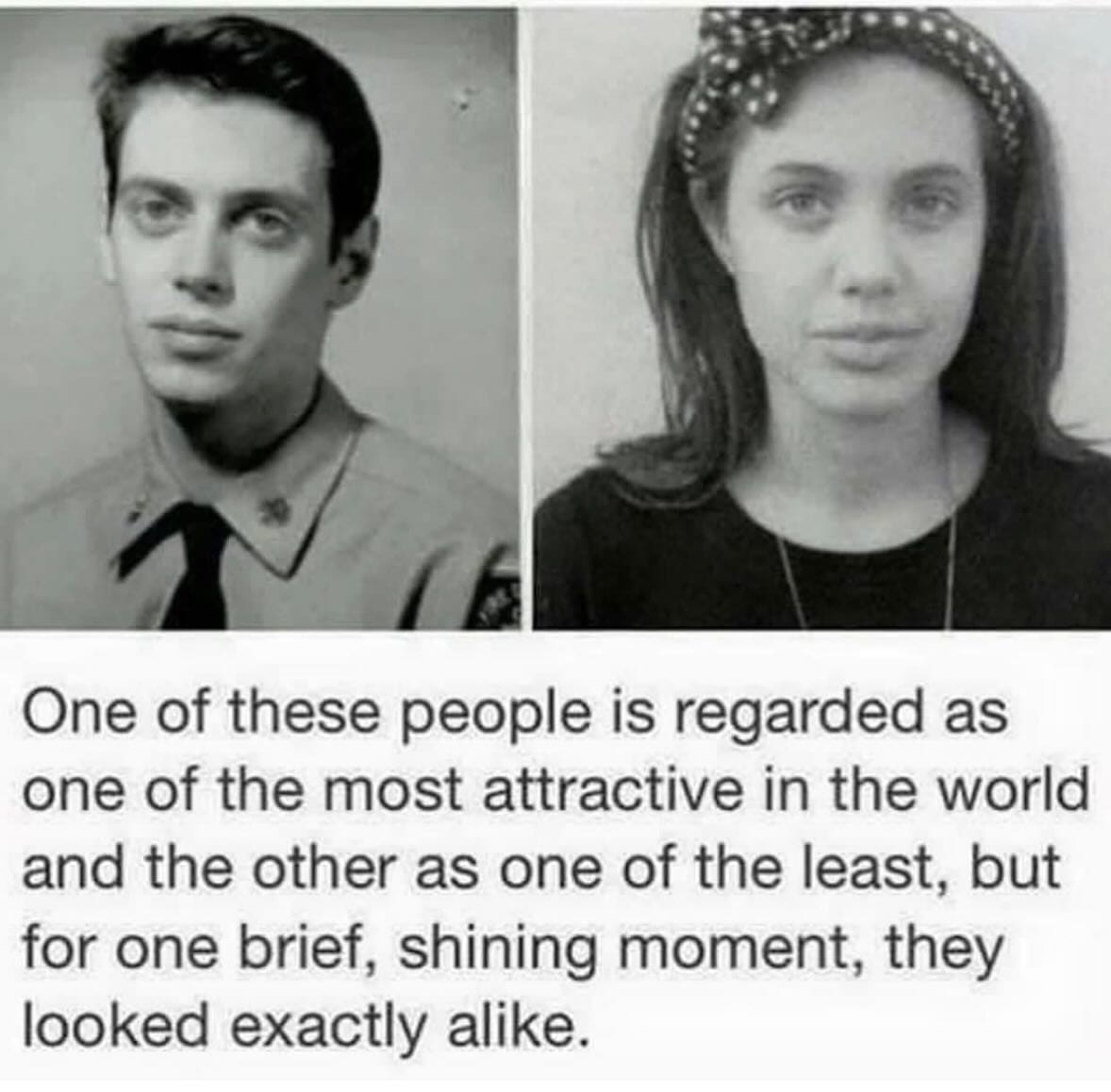 funny memes One of these people is regarded as one of the most attractive in the world and the other as one of the least, but for one brief, shining moment, they looked exactly alike. Steve Buscemi Angelina Jolie