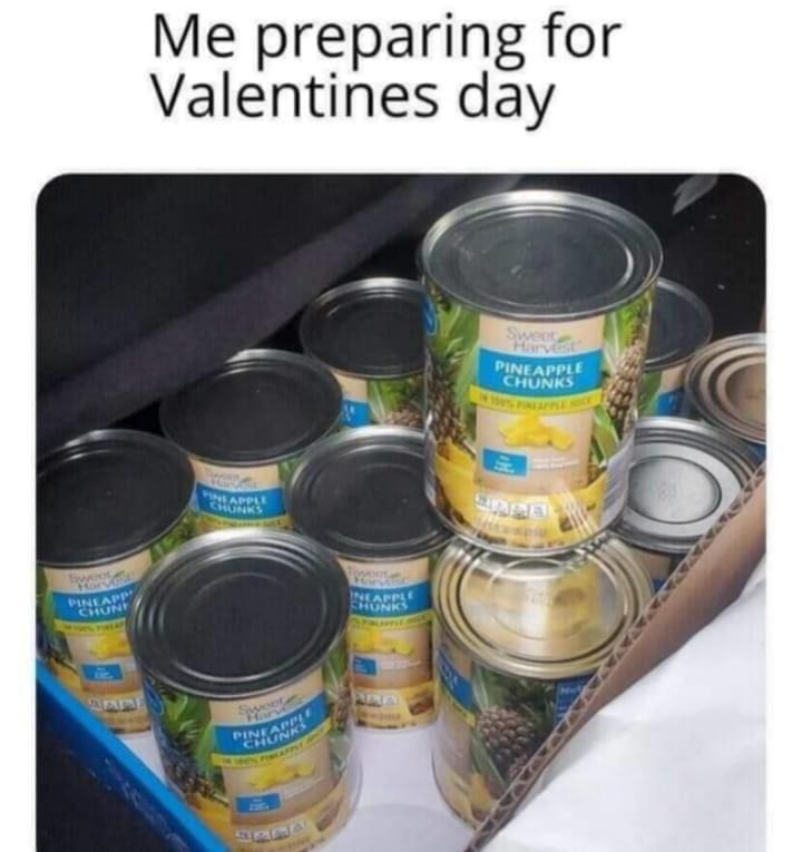 funny memes Me preparing for Valentines day pineapple chunks