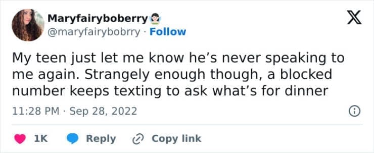 Funny parenting teen tweets My teen just let me know he's never speaking to me again. Strangely enough though, a blocked number keeps texting to ask what's for dinner