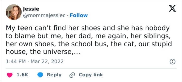Funny parenting teen tweets My teen can't find her shoes and she has nobody to blame but me, her dad, me again, her siblings, her own shoes, the school bus, the cat, our stupid house, the universe,...
