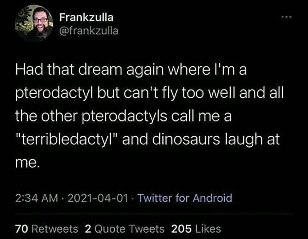 funny pics @frankzulla Had that dream again where I'm a pterodactyl but can't fly too well and all the other pterodactyls call me a "terribledactyl" and dinosaurs laugh at me.