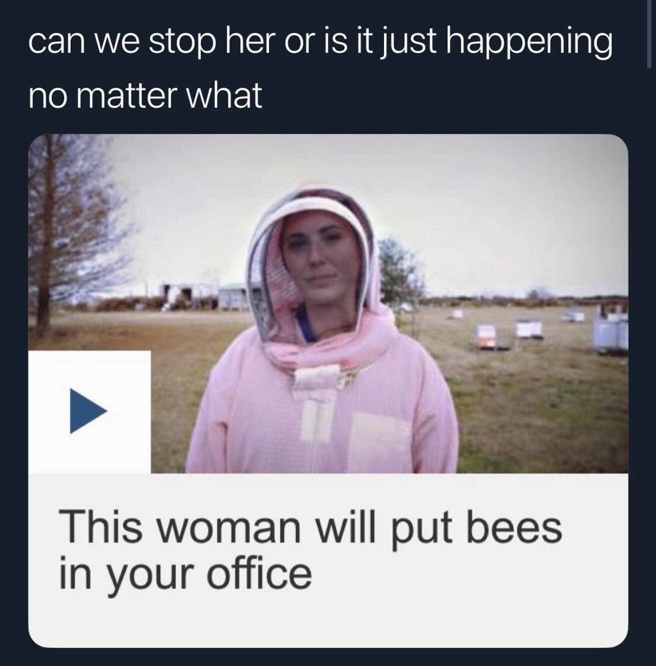 funny pics can we stop her or is it just happening no matter what This woman will put bees in your office