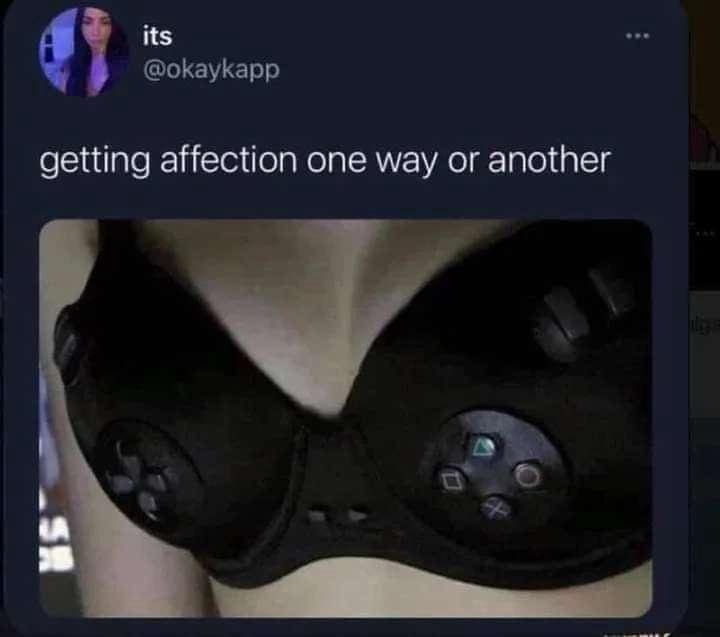 funny pics getting affection one way or another playstation bra