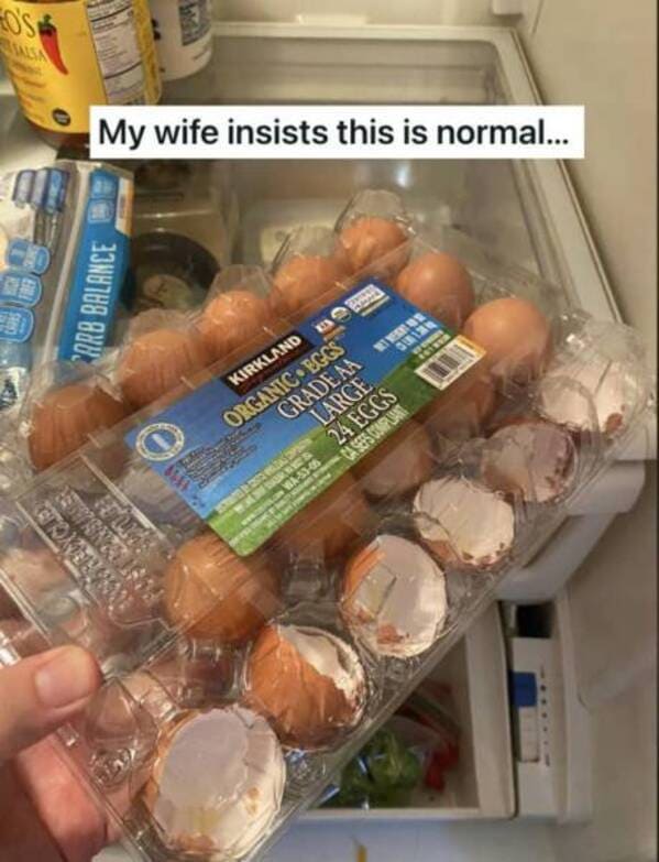 funny pics My wife insists this is normal...