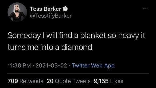funny pics Someday I will find a blanket so heavy it turns me into a diamond