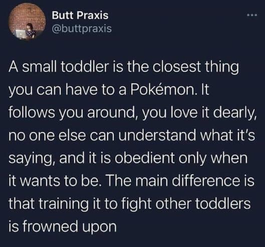 funny pics A small toddler is the closest thing you can have to a Pokémon. It follows you around, you love it dearly, no one else can understand what it's saying, and it is obedient only when it wants to be. The main difference is that training it to fight other toddlers is frowned upon