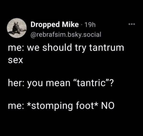 funny pics her: you mean "tantric"? me: *stomping foot* NO