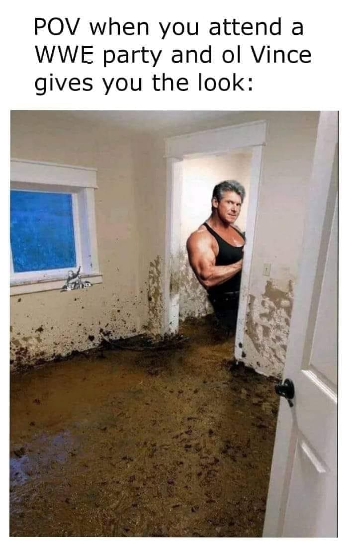 funny pics POV when you attend a WWE party and ol Vince gives you the look: