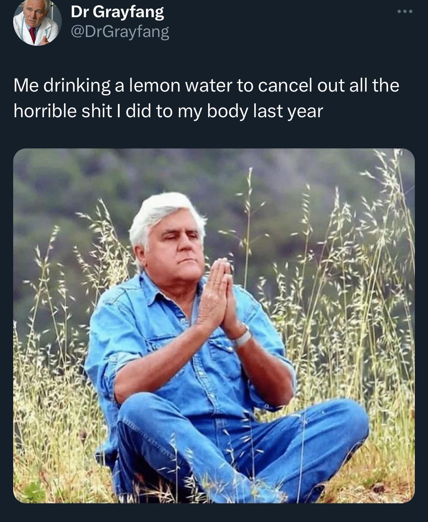 funny pics Me drinking a lemon water to cancel out all the horrible shit I did to my body last year