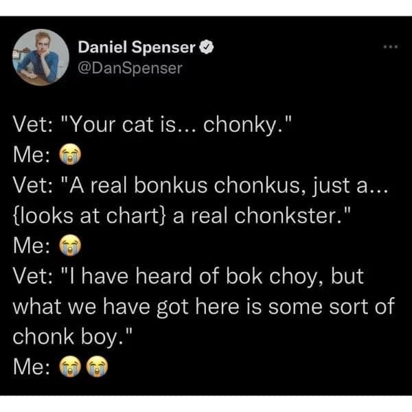 funny pics Vet: "Your cat is... chonky." Me: Vet: "A real bonkus chonkus, just a... {looks at chart} a real chonkster." Me: Vet: "I have heard of bok choy, but what we have got here is some sort of chonk boy."