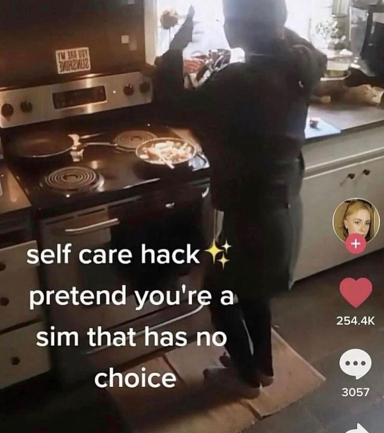 funny pics self care hack pretend you're a sim that has no choice