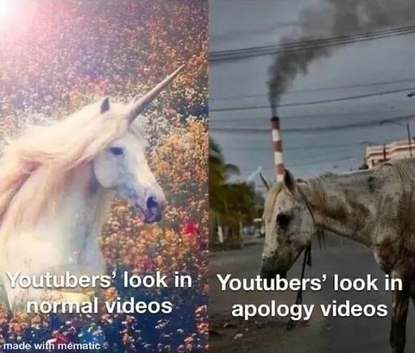 funny pics Youtubers' look in normal videos made with mematic Youtubers' look in apology videos