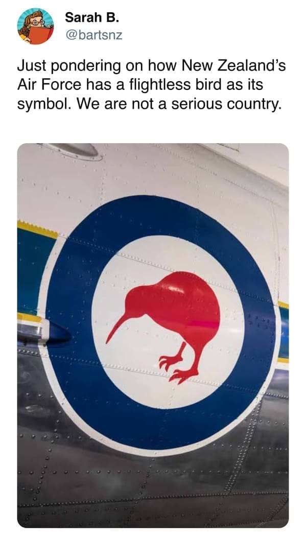 funny pics Just pondering on how New Zealand's Air Force has a flightless bird as its symbol. We are not a serious country.